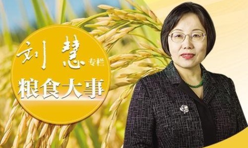 梦见学做衤服-孕妇梦见学做服装网—知名的孕期梦见自己在做生意卖衣服网站,分享怀孕梦见做衣服生男生女什么意思知识
