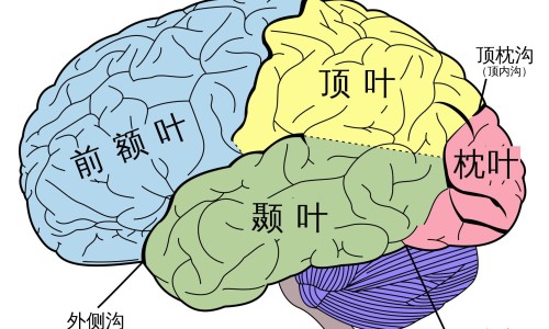 梦自己做服装-孕妇梦见学做服装网—知名的孕期梦见自己在做生意卖衣服网站,分享怀孕梦见做衣服生男生女什么意思知识