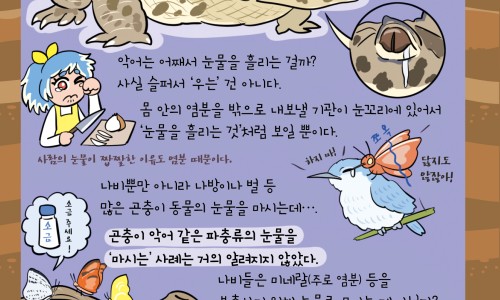 梦自己做服装-孕妇梦见学做服装网—知名的孕期梦见自己在做生意卖衣服网站,分享怀孕梦见做衣服生男生女什么意思知识