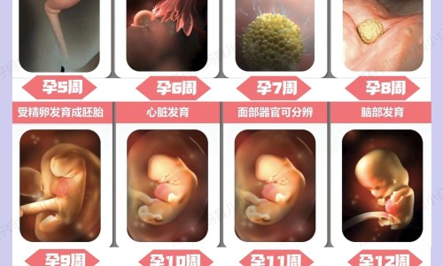 孕期梦见自己在做生意卖衣服-孕妇梦见学做服装网—知名的孕期梦见自己在做生意卖衣服网站,分享怀孕梦见做衣服生男生女什么意思知识